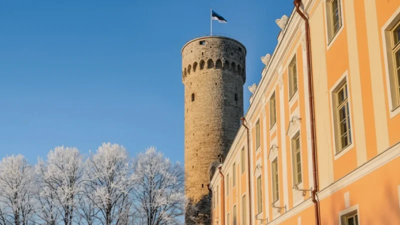 Tall Hermann Tower(1)