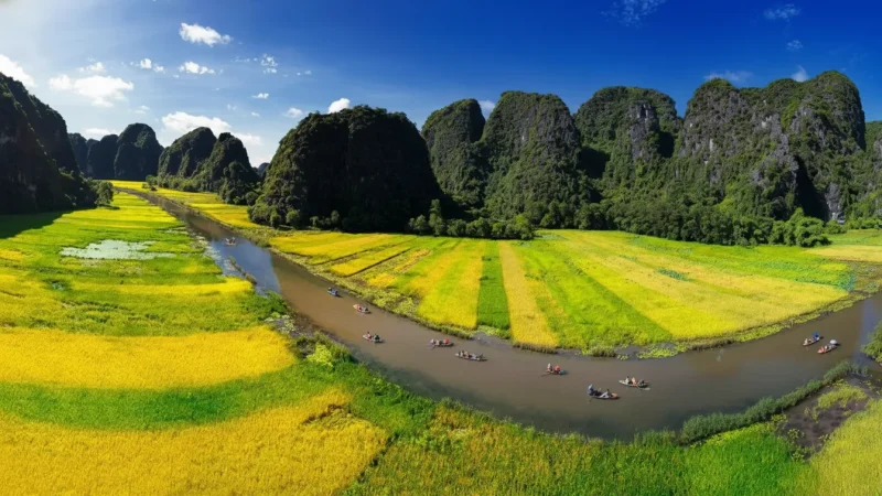 Tam Coc – Rice Fields(3)