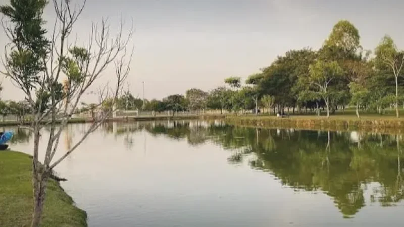 Taman Jubli Emas Park(4)