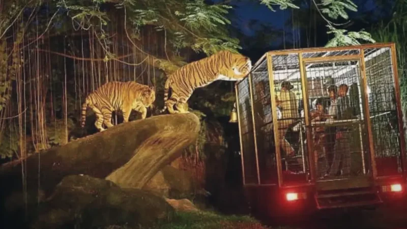 Taman Safari Indonesia(6)