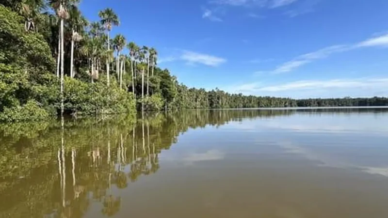 Tambopata_River_–_Main_access_route_through_the_reserve__01
