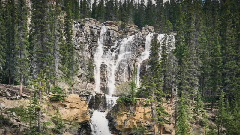 Tangle Falls – Roadside waterfall(3)