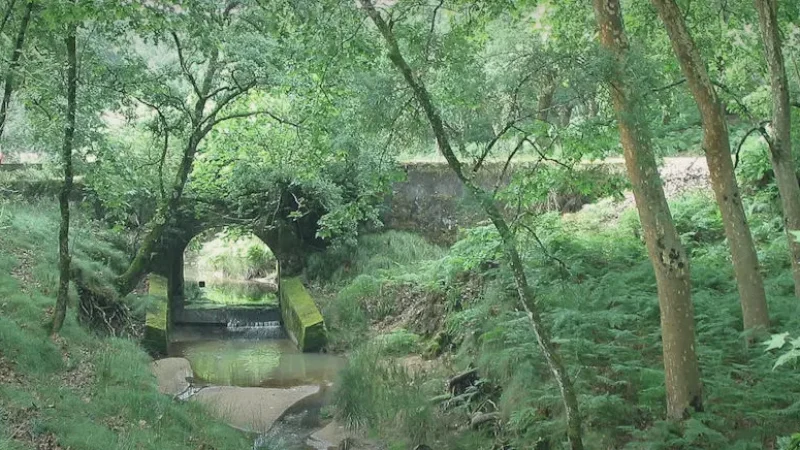 Tapada de Mafra – Royal hunting grounds(4)