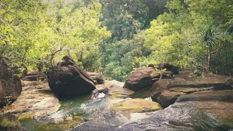 Tarzan Falls – Forest waterfall(4)