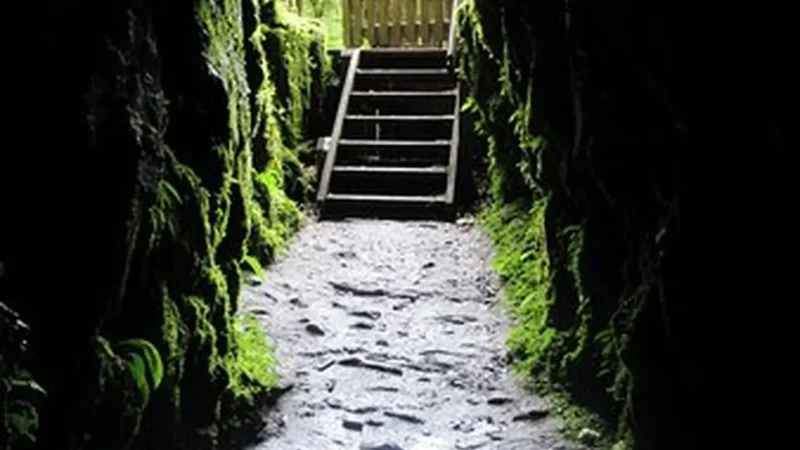 Tatare_Tunnels_Walk_тАУ_Historic_water_tunnel_track_02