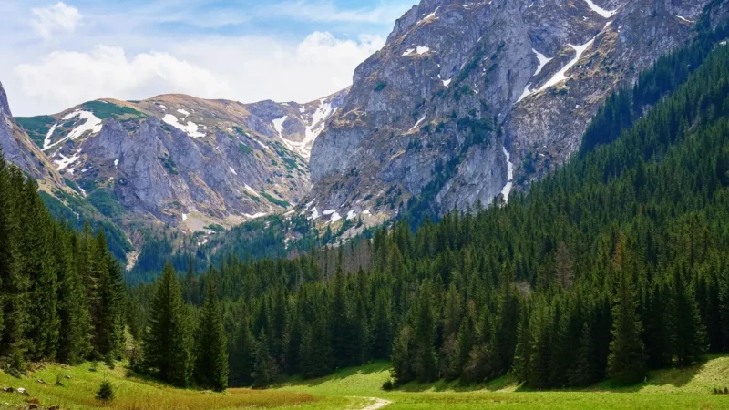 Tatra_National_Park_05