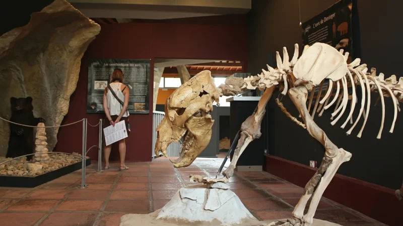 Tautavel Museum – Prehistoric museum(2)
