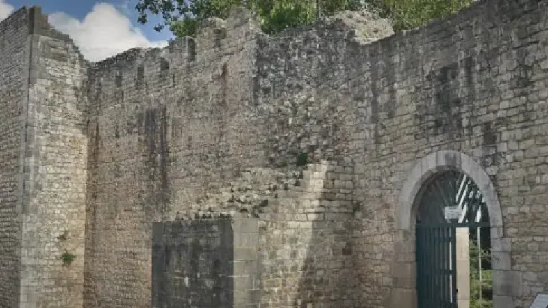 Tavira Castle(3)