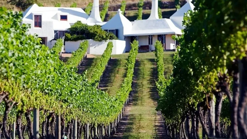 Te_Mata_Estate_Winery_тАУ_Historic_winery_05