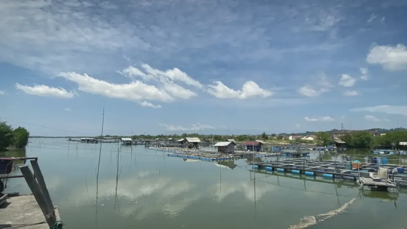 Teluk Pangpang(1)