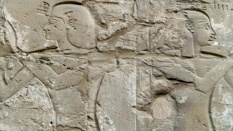 Temple Walls Reliefs – Historic carvings(5)