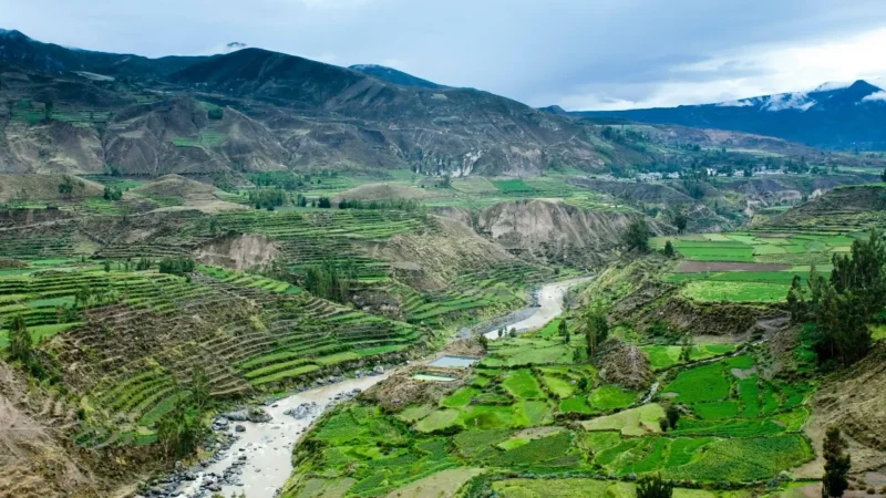 Terraced_Hillsides_–_Ancient_farming_terraces__05