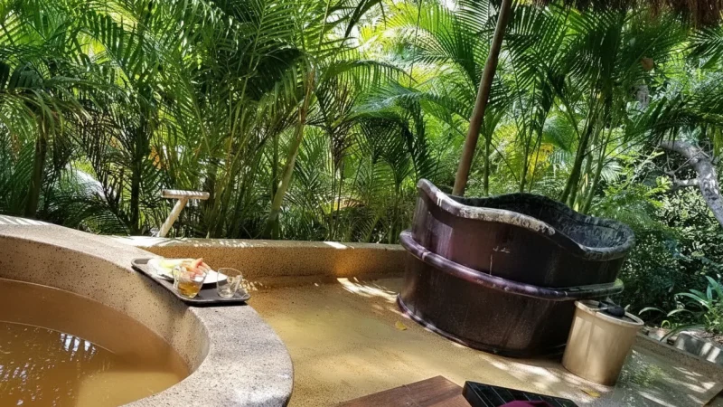 Thap Ba Mud Bath – Mineral & mud bath(6)