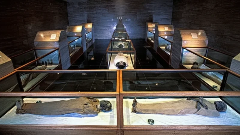 The Egyptian Museum – Ancient Artifacts & Royal Collections(5)