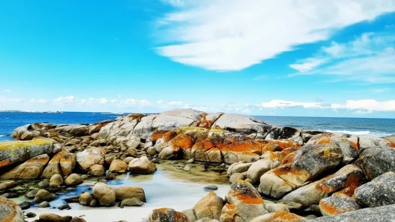 The Gardens – Rock Pools & Clear Water(6)