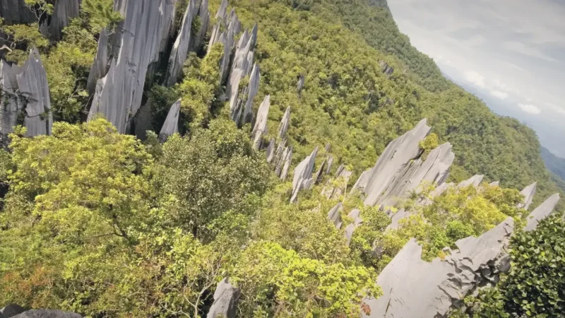 The Pinnacles(4)