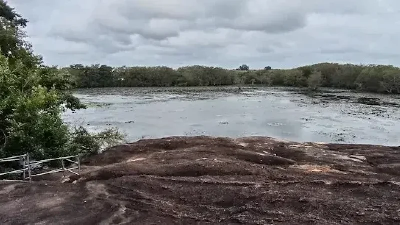 Thonigala Rock Inscription5