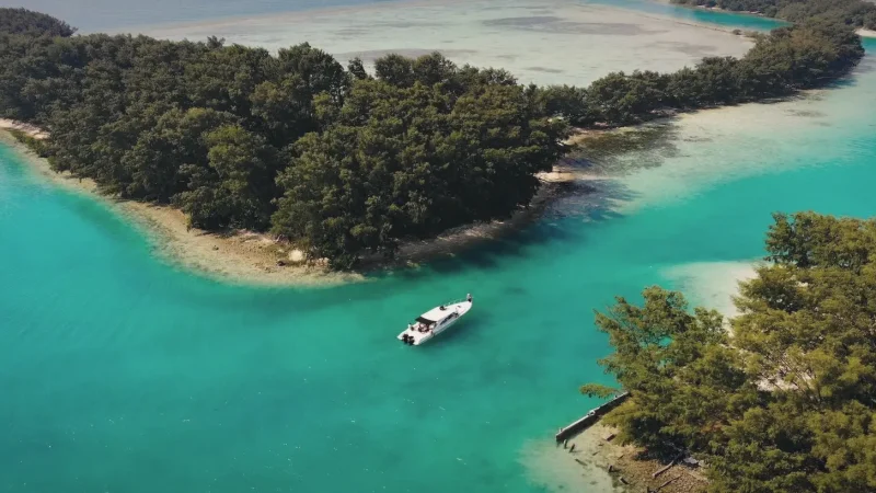 Thousand Islands(1)