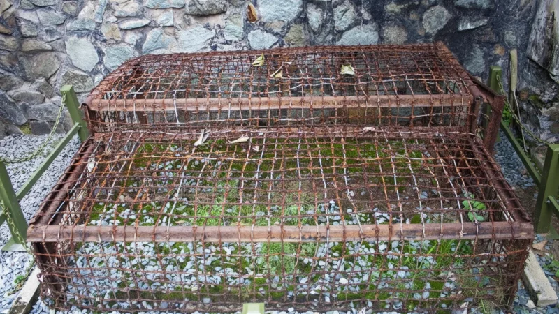 Tiger Cages – Historic prison cells(2)