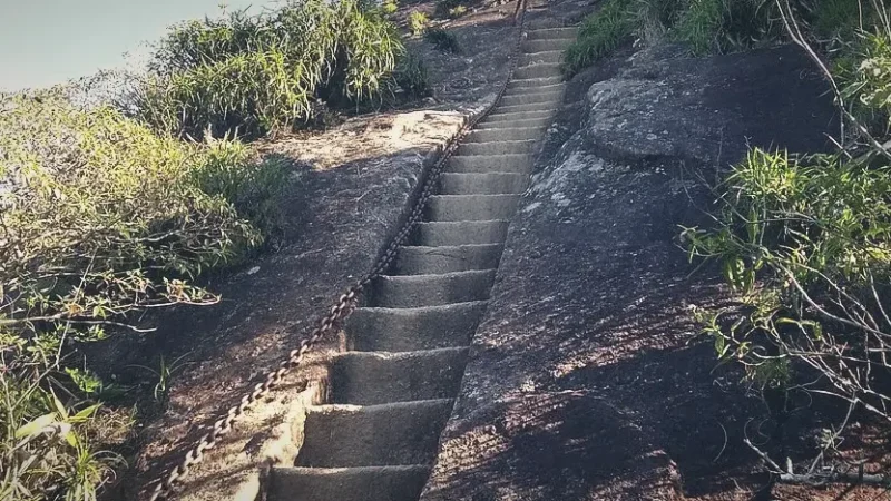 Tijuca Forest Access Trails – Scenic approach routes(5)