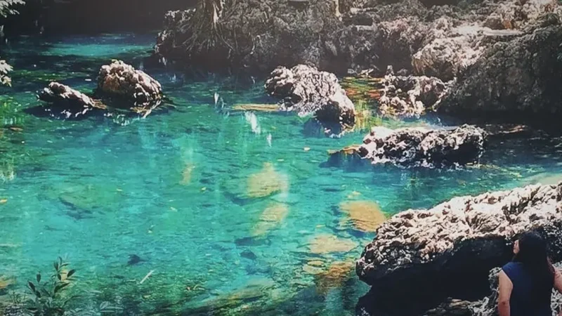 Tilanga Natural Pool(1)