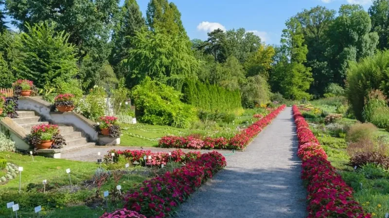 Tilburg_University_Botanical_Gardens_01