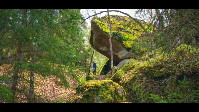 Tiveden Forest Area (Nearby)(3)