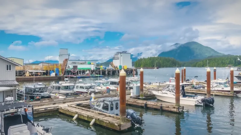Tofino Harbour – Boats & coastal life(3)