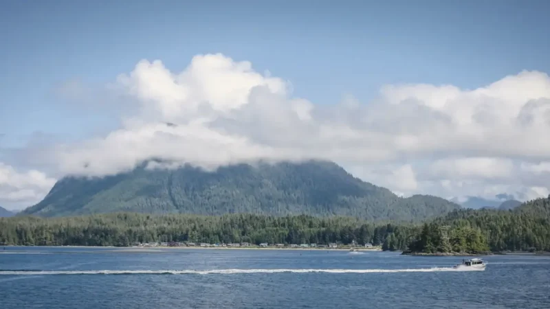 Tofino Harbour – Boats & coastal life(4)