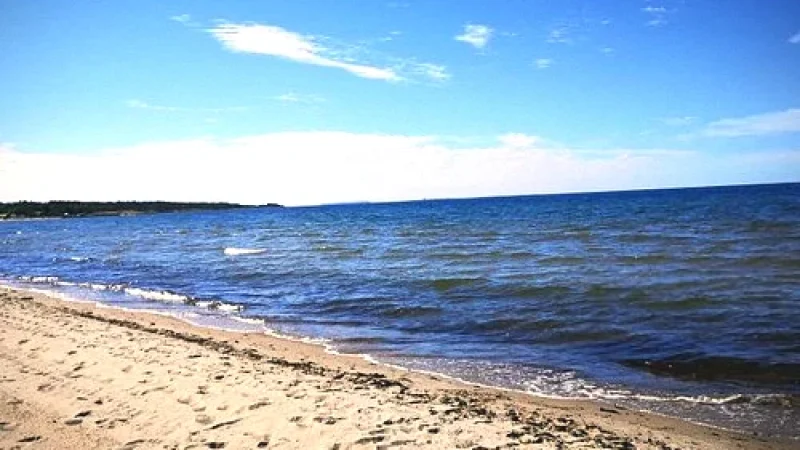 Tofta Beach – Popular sandy beach(3)