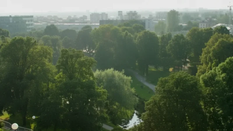 Toompark(1)