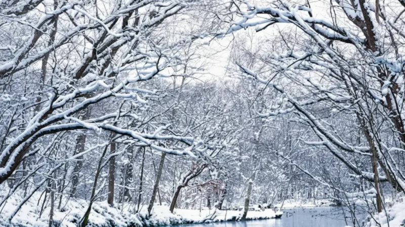 . Torinuma Park(1)
