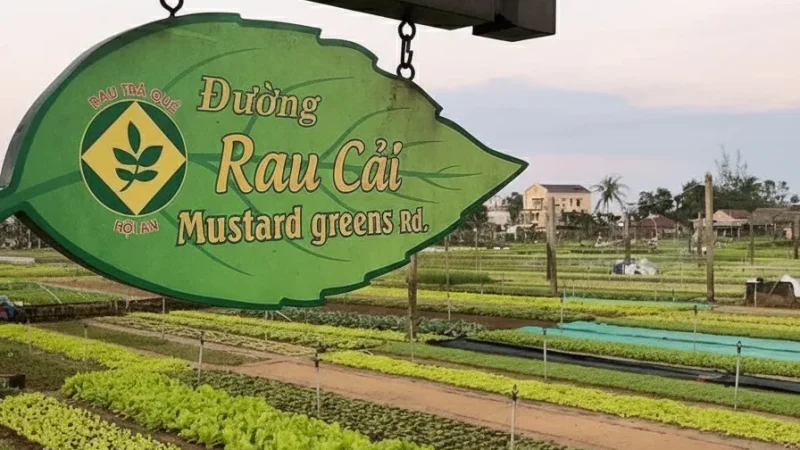 Tra Que Vegetable Village(3)