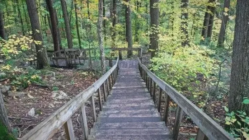 Track and Tower Trail(5)