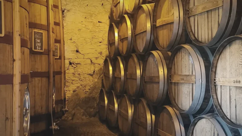 Traditional Wine Cellars(2)