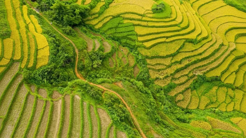 Trekking Routes – Scenic village walking paths(2)