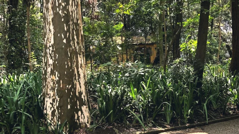 Trianon Park(6)