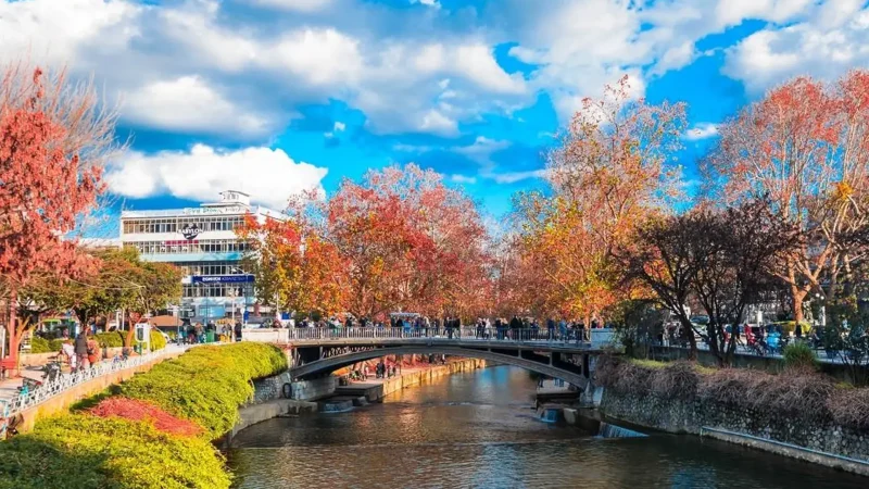 Trikala_Town_01