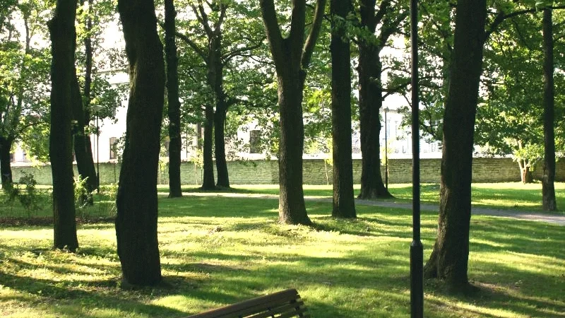 Trollhättan City Park(3)