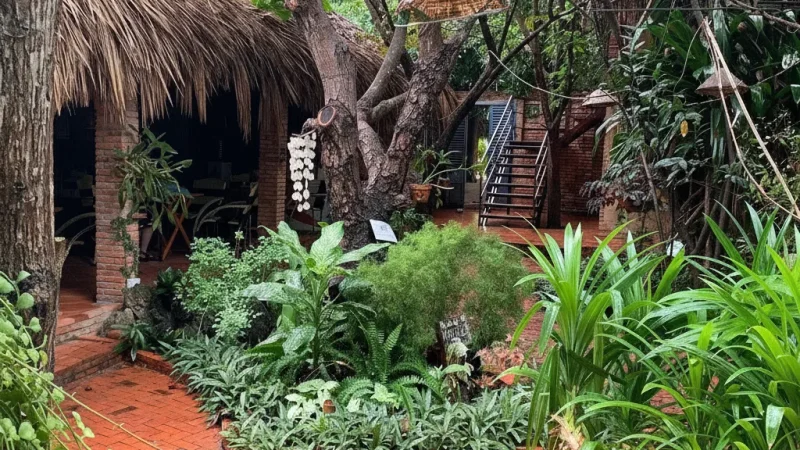 Tropical Gardens – Small farms and scenic nature(5)