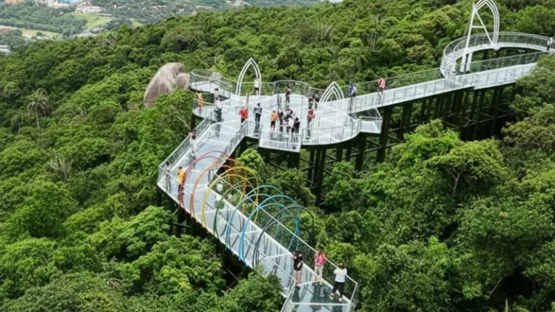 Tropical Paradise Forest Park – Forest and ocean views(6)