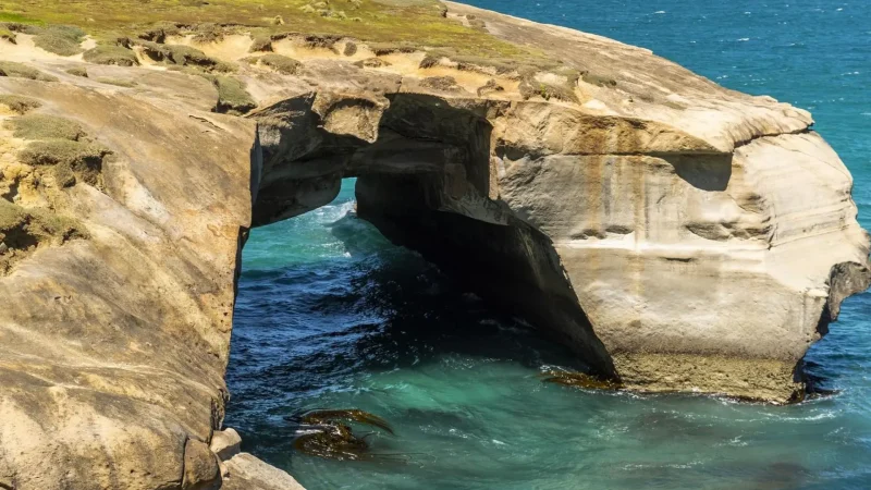 Tunnel_Beach_тАУ_Cliffs_&_Rock_Arch_04
