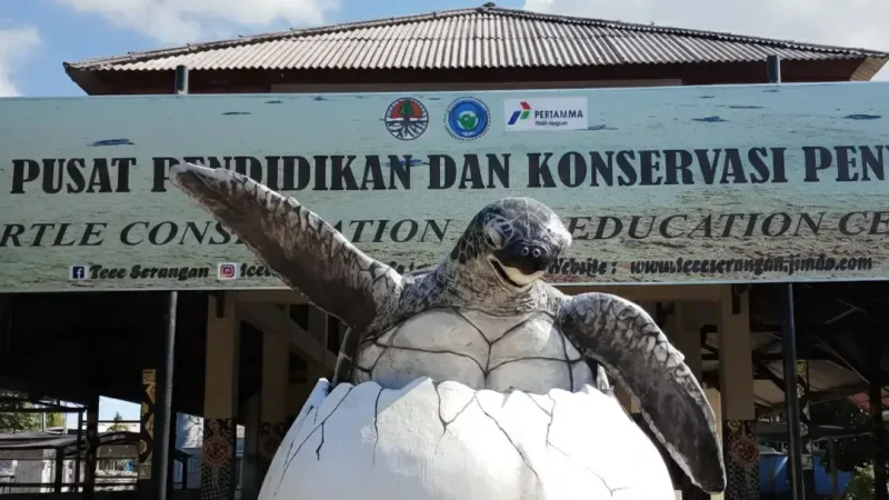 Turtle Conservancy Centers 02