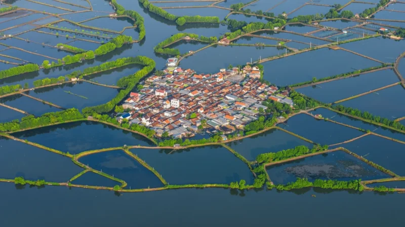 Turtle Island – Traditional village life(6)