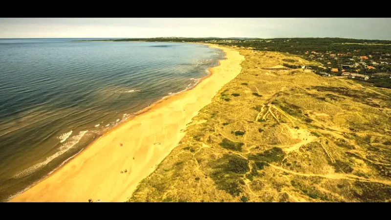 Tylösand Beach – Famous sandy beach and dunes(6)