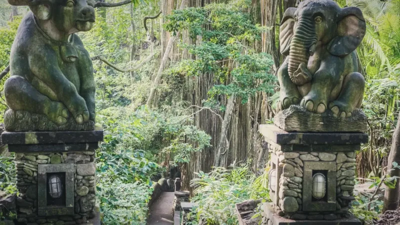 Ubud Monkey Forest(1)