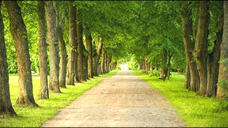 Ulriksdal Castle Park(5)
