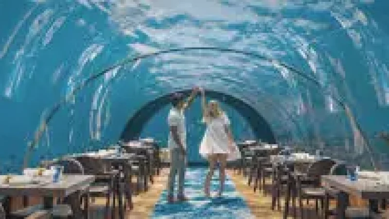 Undersea Restaurant ((5)