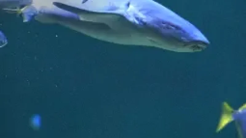 Universeum Science Center(11)