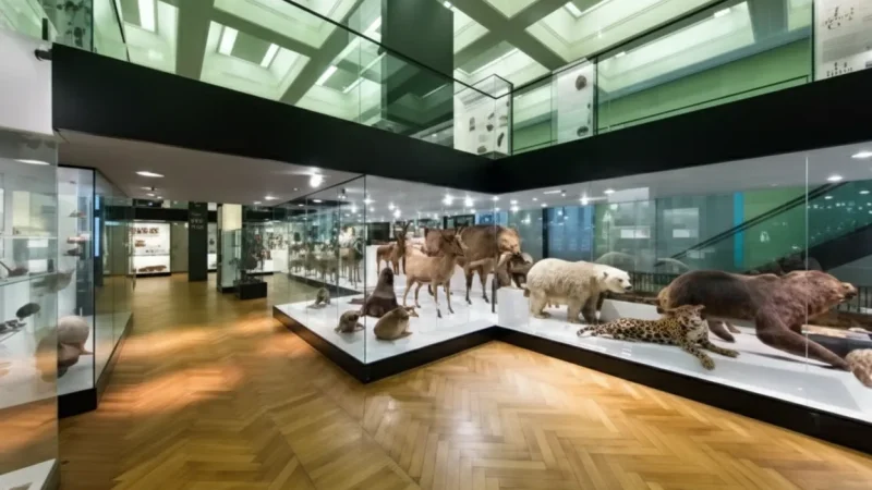 . University of Tartu Museum(1)